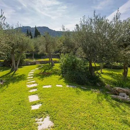 Luxury With Pool And Privacy