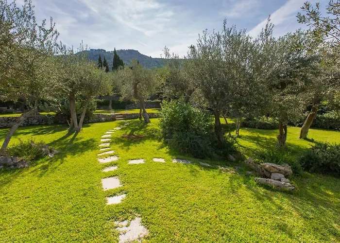 Luxury With Pool And Privacy