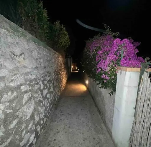 Luxury With Pool And Privacy